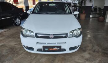 Fiat Palio completo