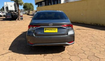 Toyota Corolla completo