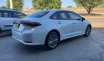 Toyota Corolla completo
