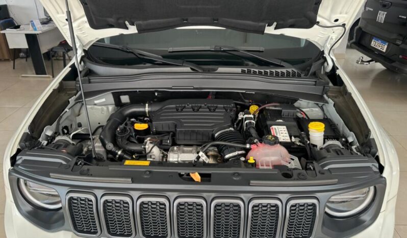 Jeep Renegade completo